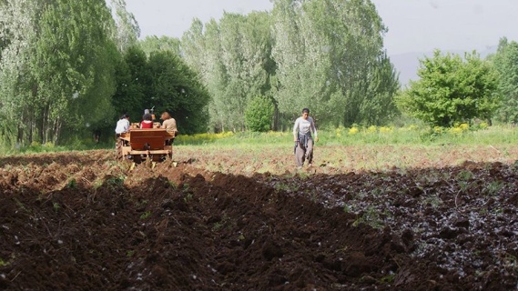 Ovacık Belediyesi