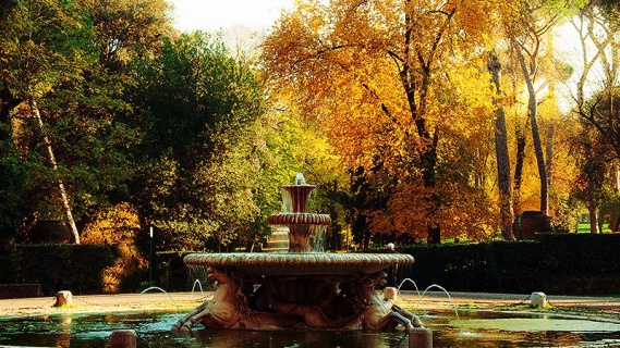 Roma