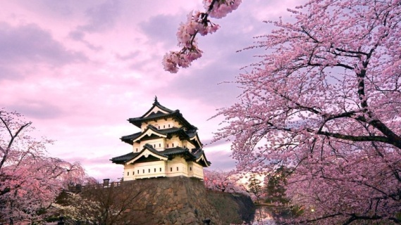 Sakura ve Samuray İlişkisi