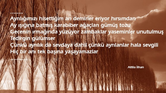 Ayrılık da Sevdaya Dahil - Attila İlhan