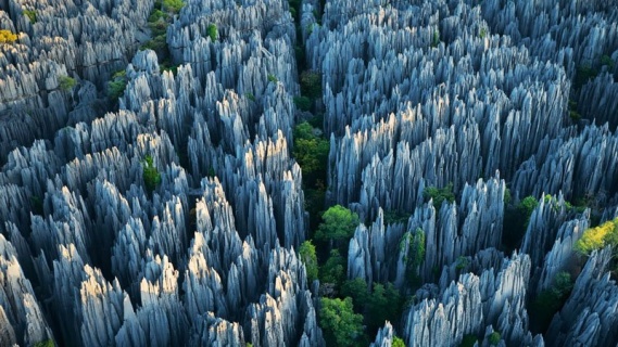 Taş Ormanı - Stone Forest