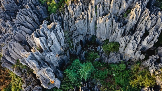 Taş Ormanı - Stone Forest