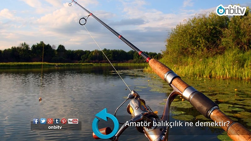 Amatör balıkçılık ne demektir?