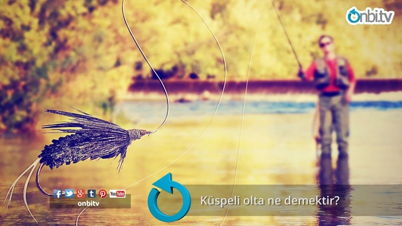 Küspeli olta ne demektir?