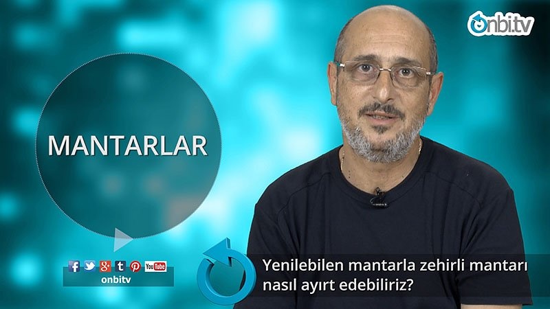 Zehirli mantar nasıl anlaşılır?