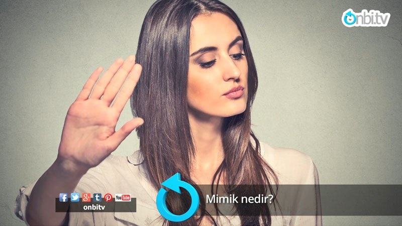 Mimik nedir?