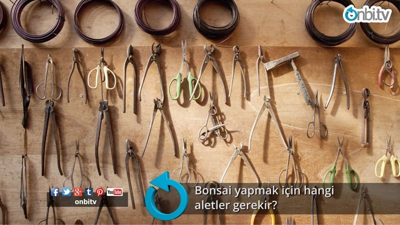 Bonsai yapmak için hangi aletler gerekir?