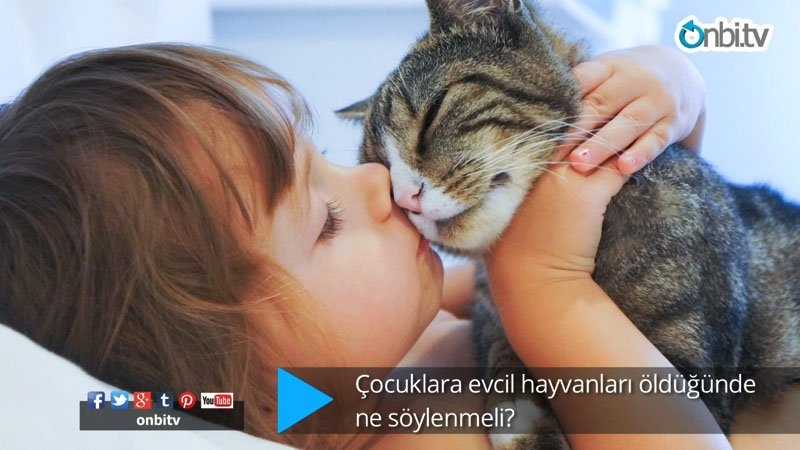 Çocuklara evcil hayvanları öldüğünde ne söylenmeli?