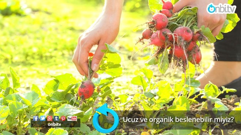 Ucuz ve organik beslenebilir miyiz?