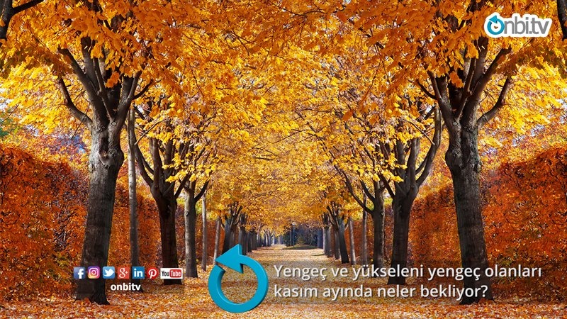 Yengeç ve yükseleni yengeç olanları kasım ayında neler bekliyor?