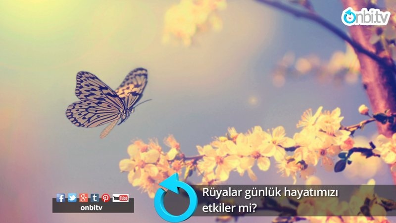 Rüyalar günlük hayatımızı etkiler mi?