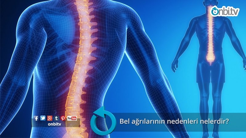 Bel ağrılarının nedenleri nelerdir?