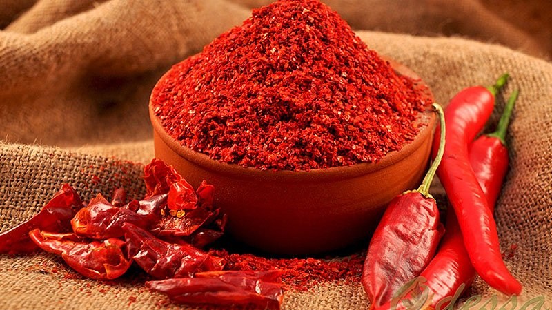 Acı Yiyenler Neden Daha Uzun Yaşıyor?