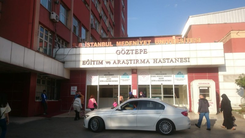 Bu ülkede üç şey olmayacaksın: KADIN, ağaç ve hayvan