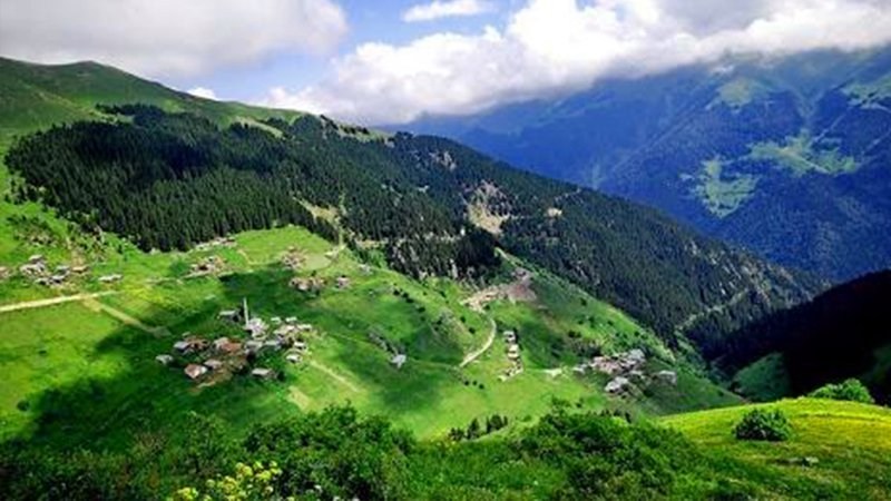 Yeni Kabusumuz: Yeşil Yol